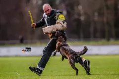 Schutzdienst