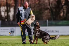 Schutzdienst