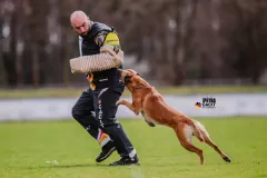 Schutzdienst