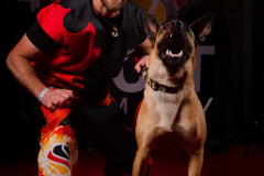 Jany Böhm als Schutzdiensthelfer mit Hund bei der CACIT Germany 2025 in der Ostbayernhalle