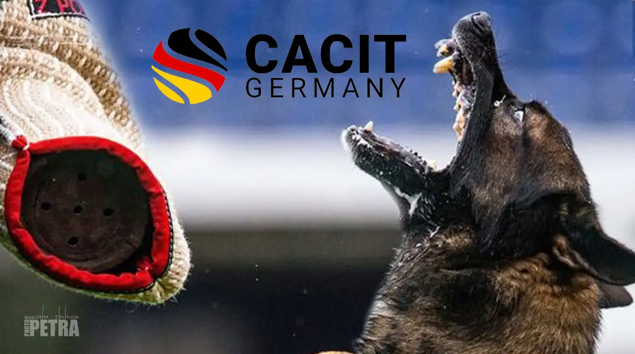 CACIT Germany 2023 Trailer