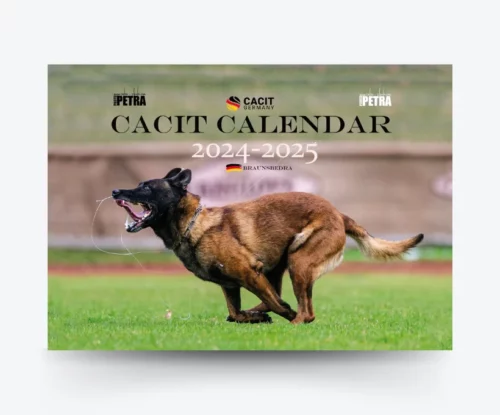 CACIT Germany Kalendar 2024-2025