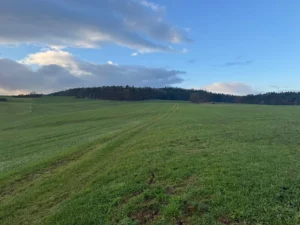 whatsapp image 2024 12 02 at 16.14.36 2 1