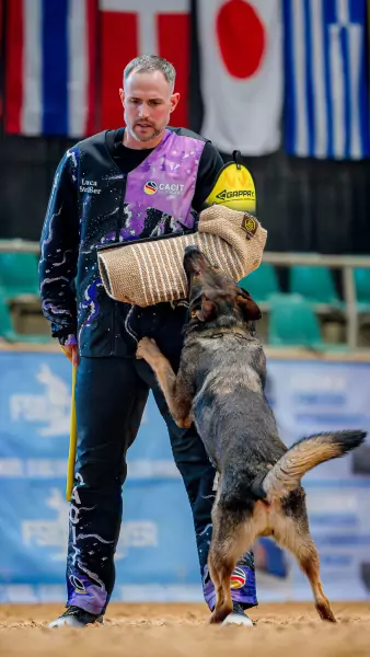 luca straesser Schutzdiensthelfer Luca Sträßer in lila-schwarzer CACIT-Germany-Ausrüstung hält einem aufspringenden Deutschen Schäferhund den Gappay-Ärmelschutz entgegen; im Hintergrund internationale Länderflaggen.